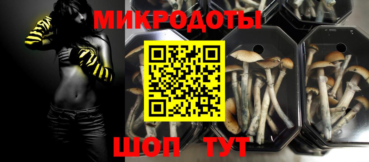 Сертолово  Псилоцибиновые грибы GOLDEN TEACHER  Вход с VPN 